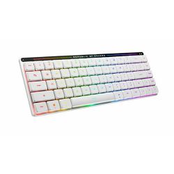 Tipkovnica ASUS ROG FALCHION RX (LP, RL/RD, mehanička, RGB)