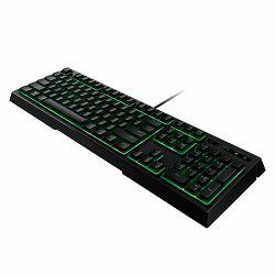 tipkovnica-razer-ornata-expert-membrane--rz03-02041700-r3m1_2.jpg