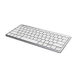 tipkovnica-trust-basics-24651-bezicna-bluetooth-us-srebrna-8713439246513_341024.jpg