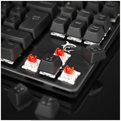 tipkovnica-white-shark-gk-2101-spartan-x-rgb-hr-spartanx_4.jpg