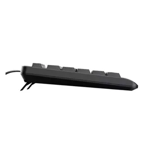 trust-basics-keyboard-usb-qwerty-us-english-black-48057-pertrukla0033.webp