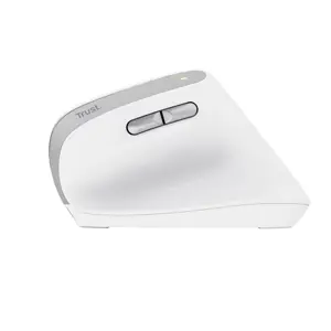trust-bayo-ii-mouse-office-right-hand-rf-wireless-optical-24-64106-pertrumys0146.webp
