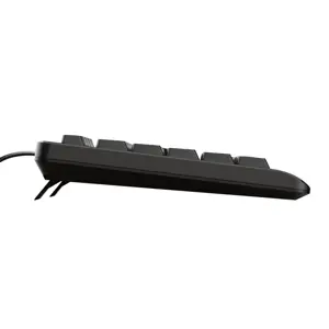 trust-primo-keyboard-usb-qwerty-us-english-black-49859-pertrukla0027.webp
