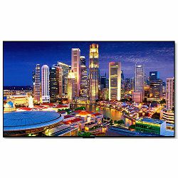 tv-lg-oled-evo-oled55c41la-140-cm-4k-ultra-hd-dolby-atmos-hd-2486-tvalg-lcd0648_1056302.jpg