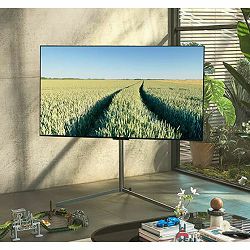 tv-lg-oled-oled55g23la-evogallery-edition-140-cm-4k-uhd-hdr1-62483-tvalg-lcd0525_753298.jpg