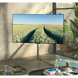 tv-lg-oled-oled65g23la-evogallery-edition-165-cm-4k-uhd-hdr1-84343-tvalg-lcd0526_728806.jpg