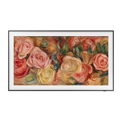 tv-samsung-the-frame-qled-qe65ls03dauxxh-165-cm-qled-4k-smar-92317-qe65ls03dauxxh_831431.jpg