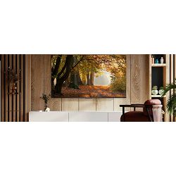 tv-tcl-led-55v6b-140-cm-4k-ultra-hd-ppi-2400-hdr10-smart-tv--30709-tvatcllcd0089_1030371.jpg