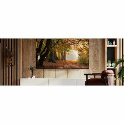 tv-tcl-led-75v6b-189-cm-4k-ultra-hd-ppi-2400-hdr10-smart-tv--23311-tvatcllcd0093_1038738.jpg