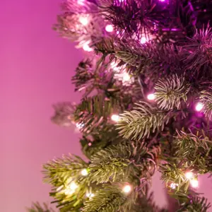twinkly-pre-lit-wreath-50-rgb-led-green-wire-plug-type-c-96469-oswtwkolc0061.webp