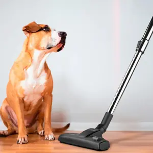 ufesa-wire-upright-vacuum-cleaner-tropical-600w-5815-ufega-81405924.webp
