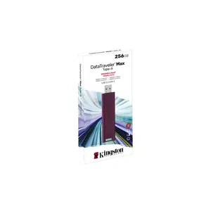 usb-stick-kingston-datatraveler-256gb-max-type-a-1000r900w-u-19113-pamkinfld0429.webp