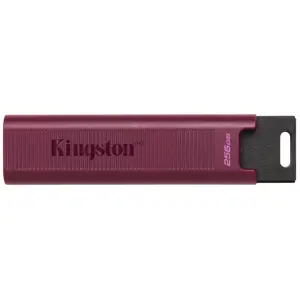 usb-stick-kingston-datatraveler-256gb-max-type-a-1000r900w-u-19517-pamkinfld0429.webp