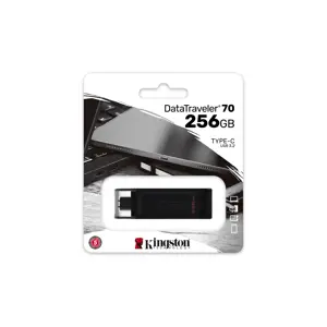 usb-stick-kingston-technology-datatraveler-256-gb-usb-c-32-g-2395-pamkinfld0424.webp