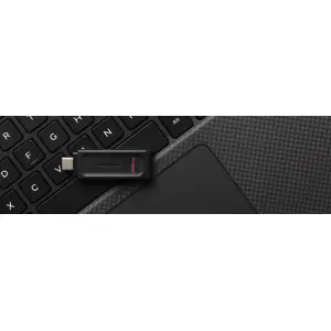 usb-stick-kingston-technology-datatraveler-256-gb-usb-c-32-g-3176-pamkinfld0424.webp