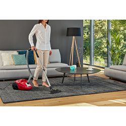 usisavac-s-vrecicom-rowenta-ro3953ea-34209-ro3953ea_363303.jpg