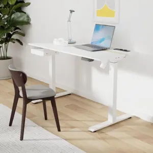 vasagle-electrically-adjustable-desk-9391-e0017537.webp