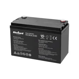 VIPOW akumulator żelowy 12 V 100 Ah