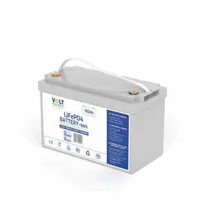VOLT POLSKA LITHIUM IRON PHOSPHATE LiFePO4 BATTERY 12V 100Ah 100A