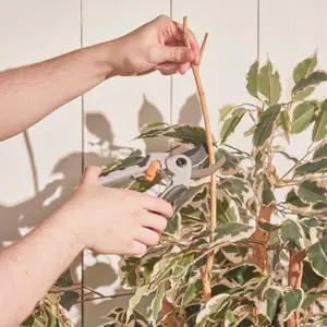 vonhaus-pruning-set-75288-e0014497.webp