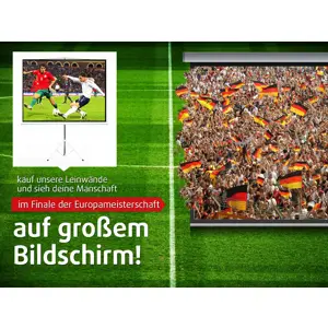 wall-ceiling-video-projector-screen-3d-hd-cinema-200x150-4-3-87851-mulmcnekr0006.webp