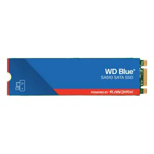 WD SSD Blue SA510 1TB M.2 Sata