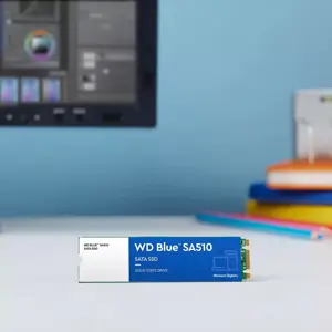 western-digital-blue-sa510-500-gb-m2-serial-ata-iii-4812-wlononwcrgi11.webp