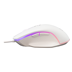 white-shark-mis-gm-5009-gareth-bijeli-6400-dpi-18333-gareth-w.webp