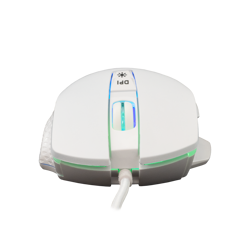 white-shark-mis-gm-5009-gareth-bijeli-6400-dpi-47839-gareth-w.webp