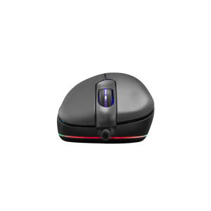 white-shark-mis-gm-9003-sagramore-rgb-7000-dpi-15219-sagramore-sm.webp