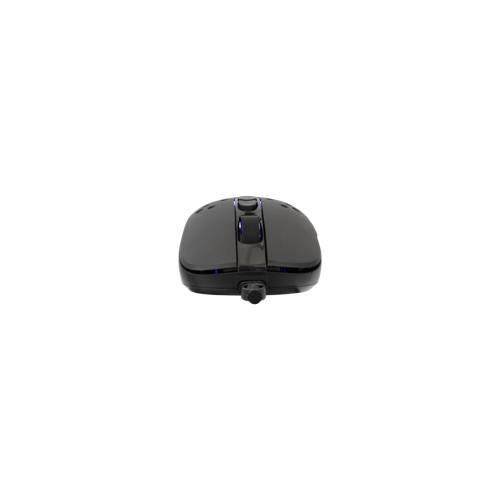 white-shark-mis-gm-9004-tristan-2-crni-rgb-12800-dpi-98895-tristan-b-2.webp