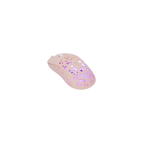 white-shark-mis-gm-9004-tristan-2-pink-rgb-12800-dpi-40428-tristan-p-2.webp