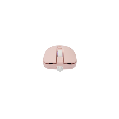white-shark-mis-gm-9004-tristan-2-pink-rgb-12800-dpi-46730-tristan-p-2.webp