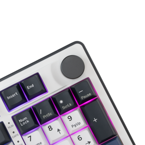 white-shark-pl-tipkovnica-gk-007251-excalibur-bijela-us-47630-excalibur-w.webp