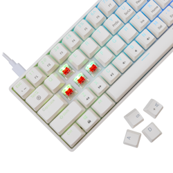 white-shark-tipkovnica-gk-004211-shinobi-2-bijela-mehanicka--95729-shinobi-2-w-us-redsw.webp