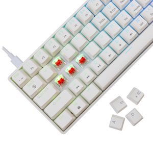 white-shark-tipkovnica-gk-004212-shinobi-2-bijela-mehanicka--88666-shinobi-2-w-hr-redsw.webp
