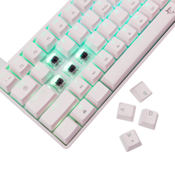 white-shark-tipkovnica-gk-004231-shinobi-2-bijela-mehanicka--37139-shinobi-2-w-us-brownsw.webp