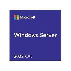 WINDOWS Server CAL 2022 English 1pk DSP OEI 5 Clt User CAL