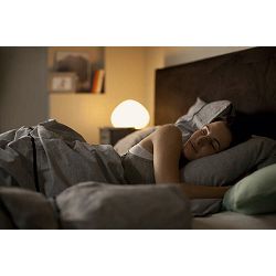 zarulja-philips-hue-wa-9w-a60-e27-eu-bij-3608020029_3.jpg
