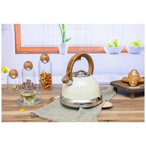 zilan-kuhalo-sa-vodu-sa-zvizdaljkom-35-lit-retro-zln1290-69449-8682744811290.webp