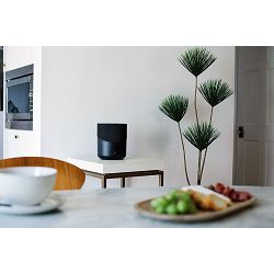 zvucnik-bluesound-pulse-m-crni-bluesound-pulse-mini-black_338931.jpg