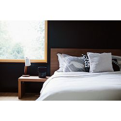 zvucnik-bluesound-pulse-m-crni-bluesound-pulse-mini-black_338933.jpg