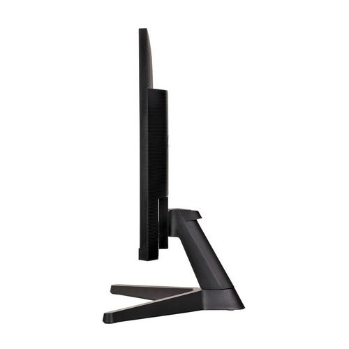 MONSA1MON0251_3.jpg