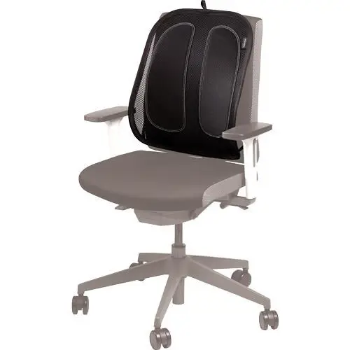 fellowes-back-support-for-office-chair-office-suites-mesh-ba-30266-wlononwcrantx.webp