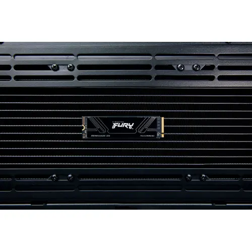 kingston-technology-1t-fury-renegade-g5-m2-2280-nvme-ssd-93820-diakinssd0134.webp