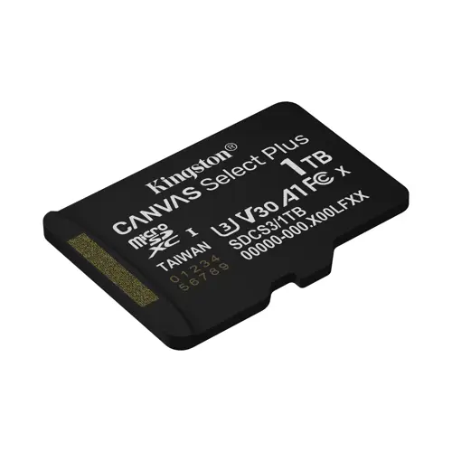 kingston-technology-1tb-microsdxc-canvas-select-plus-gen3-15-17857-pamkinsdg0283.webp