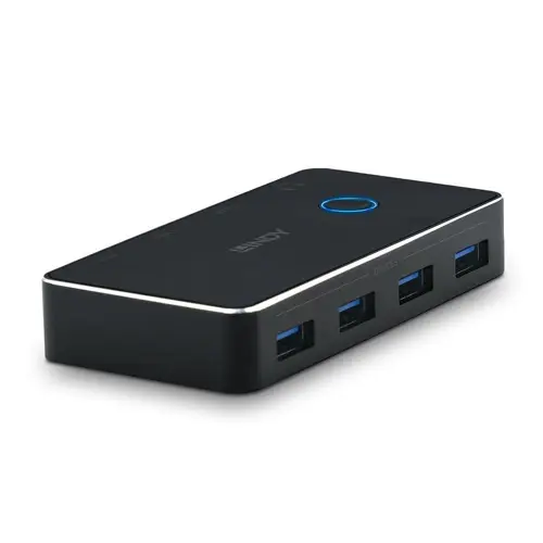 lindy-43387-computer-data-switch-22886-wlononwcrt937.webp