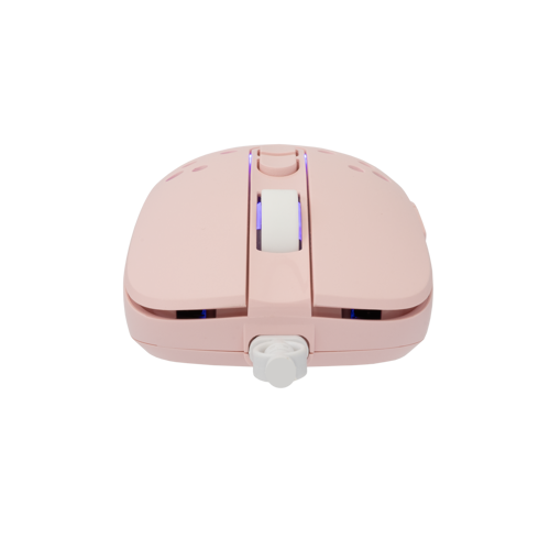 mis-white-shark-gm-9004-tristan-2-rgb-12800-dpi-pink-61972-105537.webp