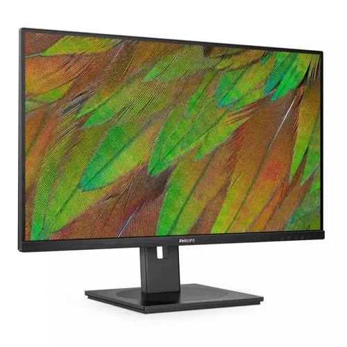 philips-3000-series-32b1u390000-computer-monitor-80-cm-315-3-89894-wlononwcrfmpm.webp
