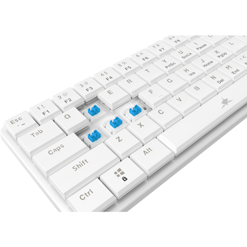 white-shark-keyboard-gk-006221-nagamaki-white-mechanical-us--43196-109329rn.webp